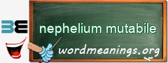 WordMeaning blackboard for nephelium mutabile